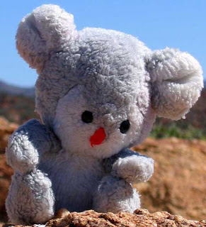 Koala Bear, the mascot of blogger Bonnie Way, hangs out in Australia