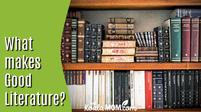What makes Good Literature? Photo of books on a bookshelf by Pixabay.