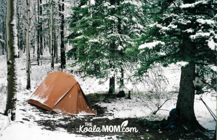 Brown backpacking tent pitched under an evergreen tree, with snow sitting around.