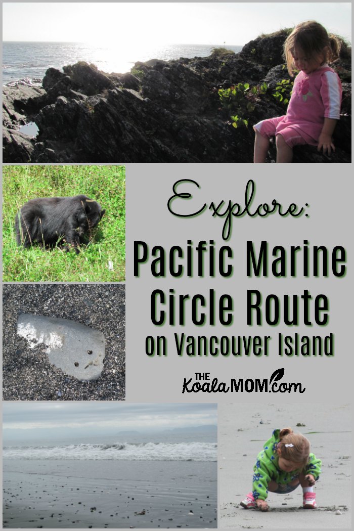Explore the Pacific Marine Circle Route on Vancouver Island