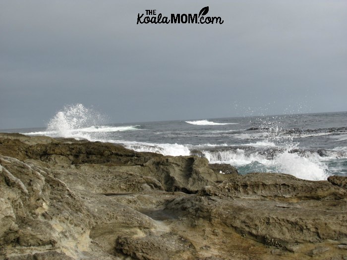 Waves crashing on rocks at Botanical Beach.