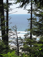 View of Long Beach from Greenpoint Campground in Tofino, BC.