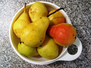 Bowl full of ripe, yellow pears, ready for canning