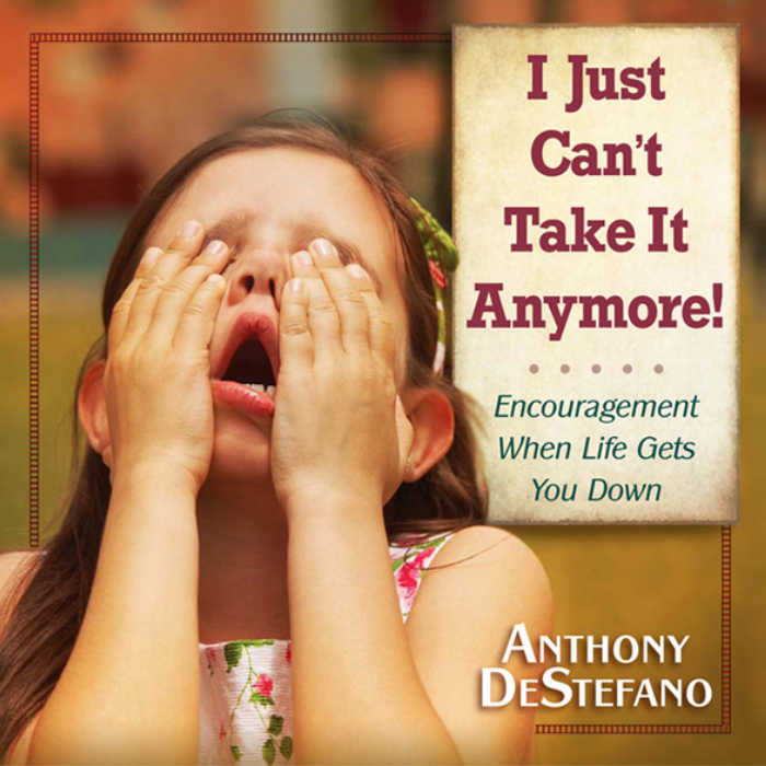 I Just Can't Take It Anymore by Anthony DeStefano