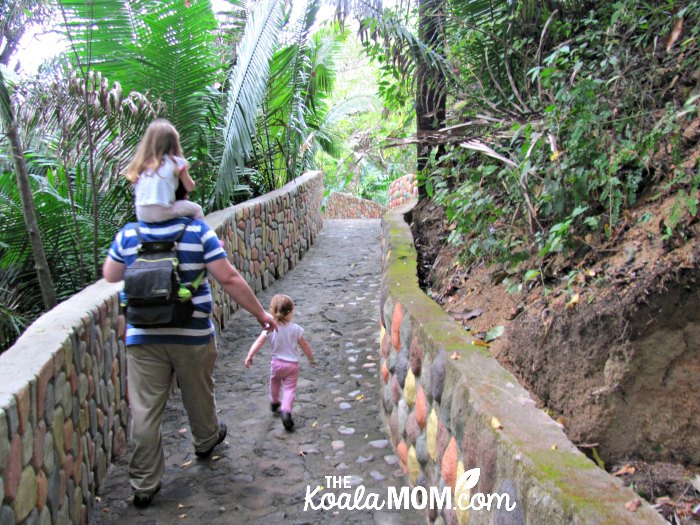 Daddy and daughters following a path in the Puerto Vallarta Zoo.