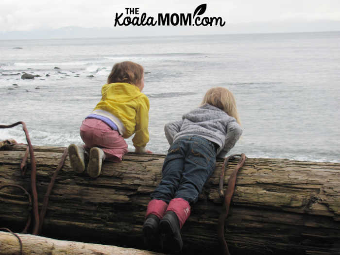 Two girls watch the waves from a driftwood log on Sombrio Beach. Photo by Bonnie Way.