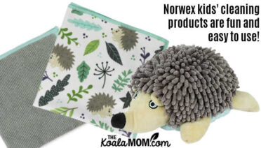 Norwex kids' cleaning products are fun and easy to use!