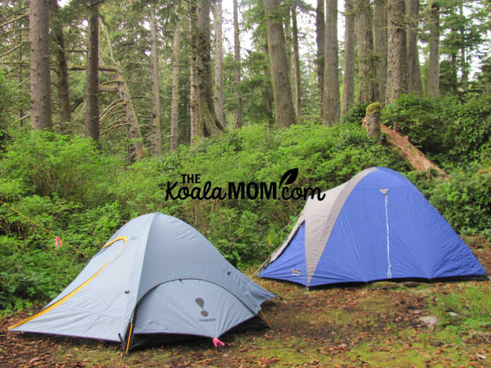 Two blue tents set up near the trees on Sombrio Beach. Photo by Bonnie Way.