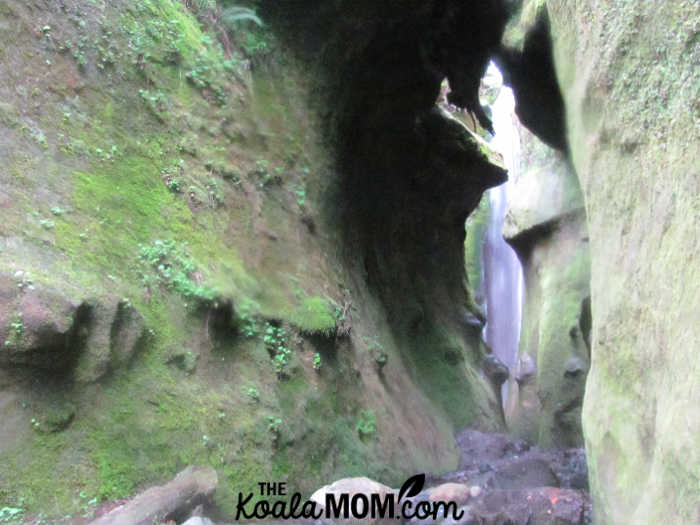 Tall waterfall between mossy grey rocks. Photo by Bonnie Way.