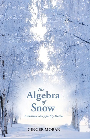 The Algebra of Snow by Ginger Moran