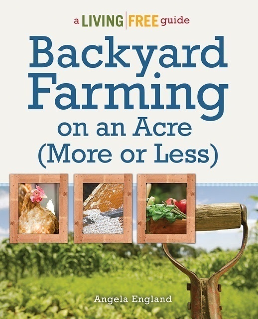 Backyard Farming on an Acre (More or Less) by Angela England