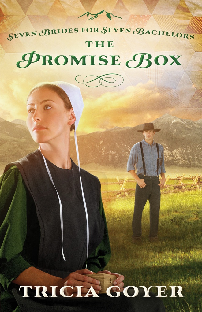 The Promise Box by Tricia Goyer