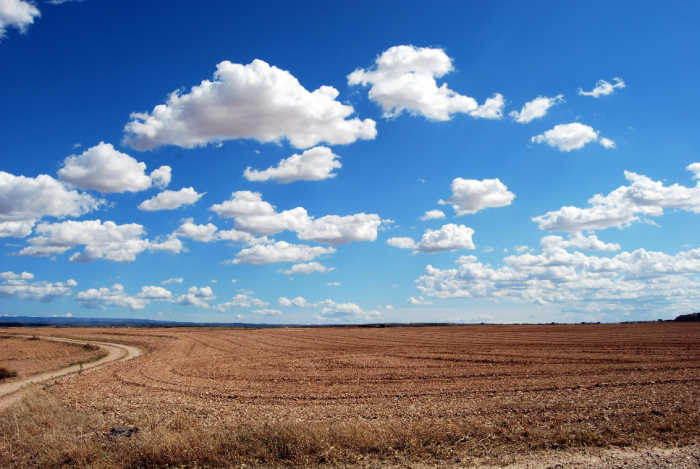 Photo of fluffy white clouds floating in a blue sky over a brown wheat field by Pixabay.