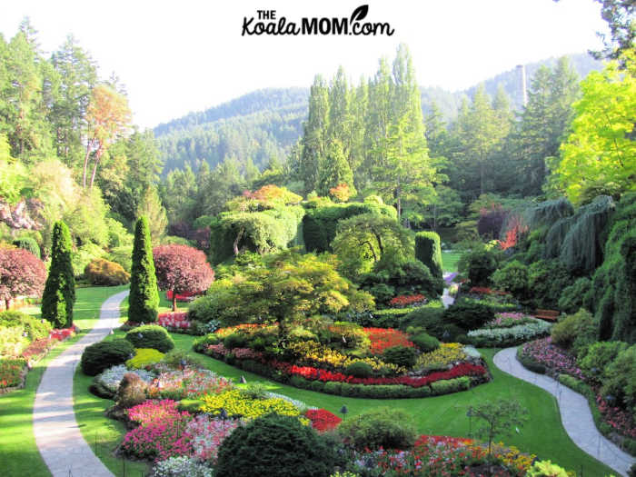 The Sunken Garden at Butchart.