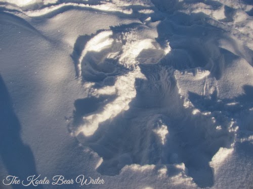 Snow angel made during Christmas in Alberta