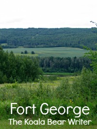 view of the river at Fort George