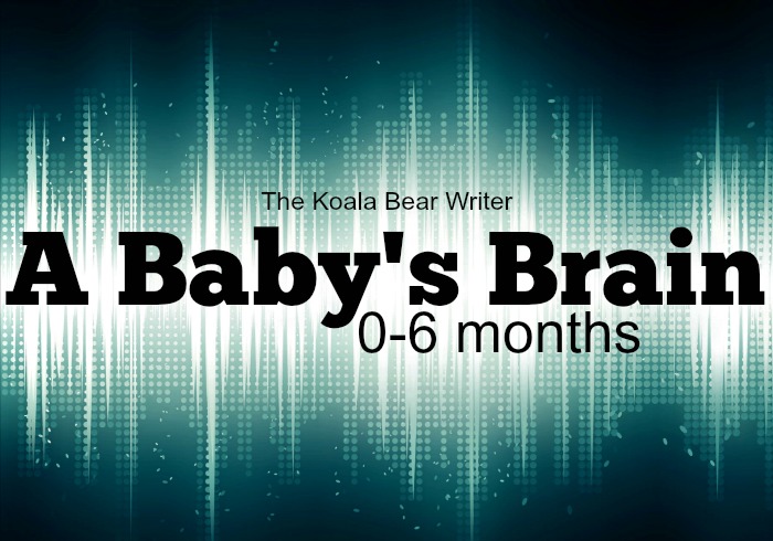 A Baby's Brain 0-6 months