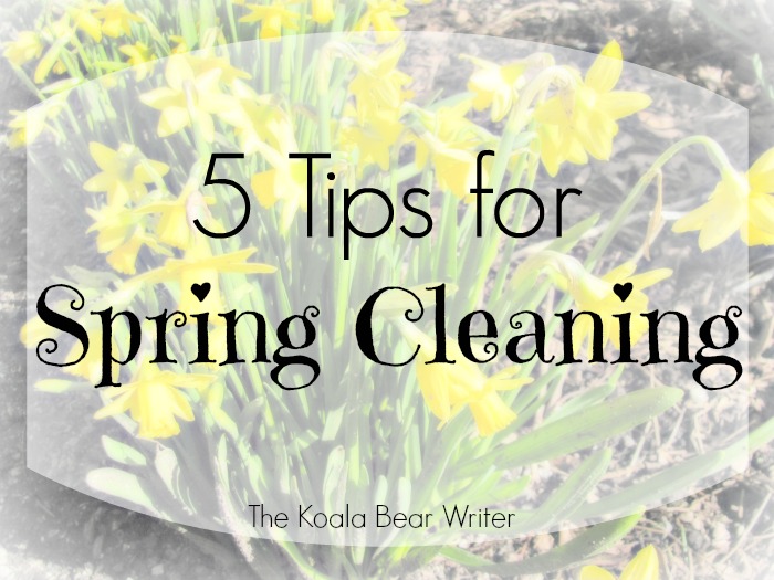 5 Tips for Spring Cleaning