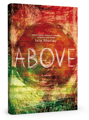 Above (a novel)