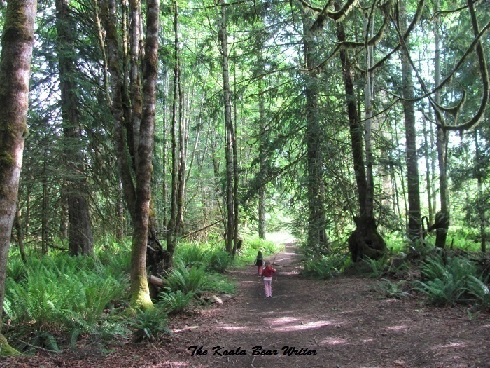 Hiking at Rondalyn Resort