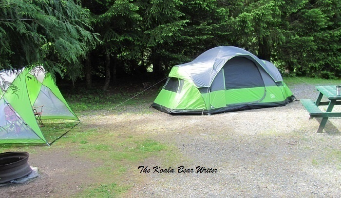 Tent at Rondalyn Resort
