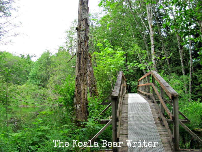 bridge on the Morden Collieries Trail