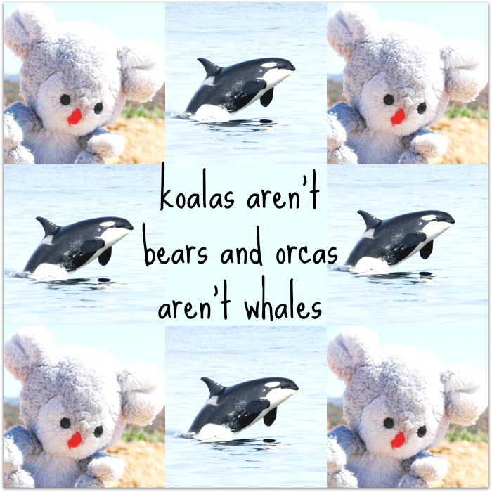 Koalas aren't bears and orcas aren't whales