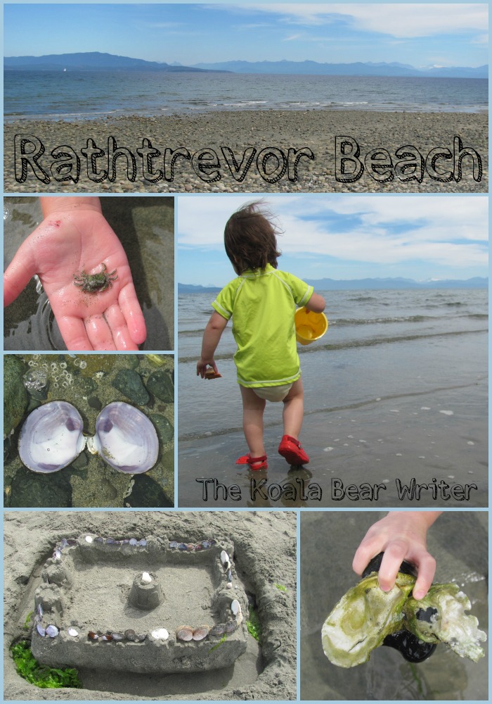 Rathtrevor Beach collage - sandcastle, shells, holding a crab, child playing