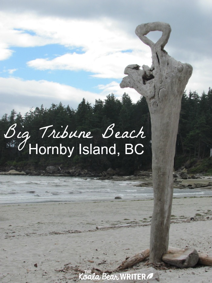 Big Tribune Beach on Hornby Island, BC