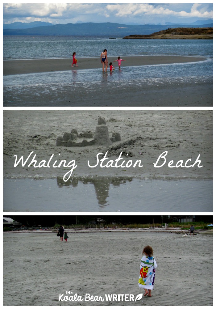 Whaling Station Beach on Hornby Island