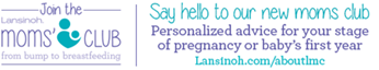 Join the Lansinoah Mom's Club