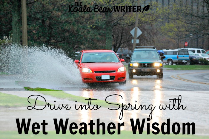 Drive into Spring with Wet Weather Wisdom from State Farm