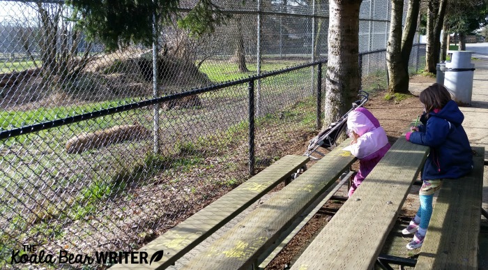 Taking notes about animal habitat, eating habits, and more at the Vancouver Zoo.