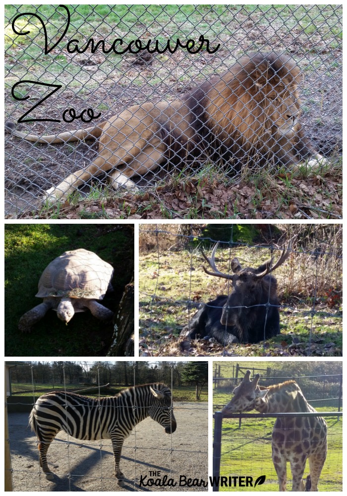 Animals relaxing at the Vancouver Zoo.