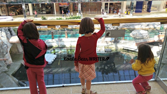 Girls watching the sea lion show at West Edmonton Mall