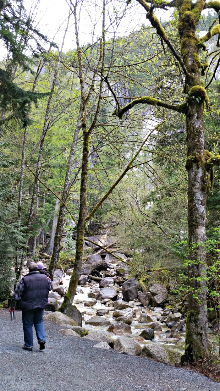 Hiking to Shannon Falls