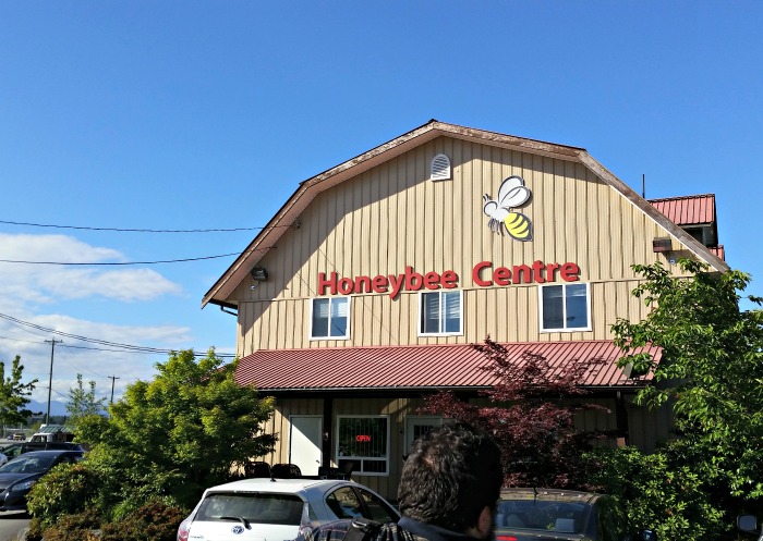 Honeybee Centre in central Surrey