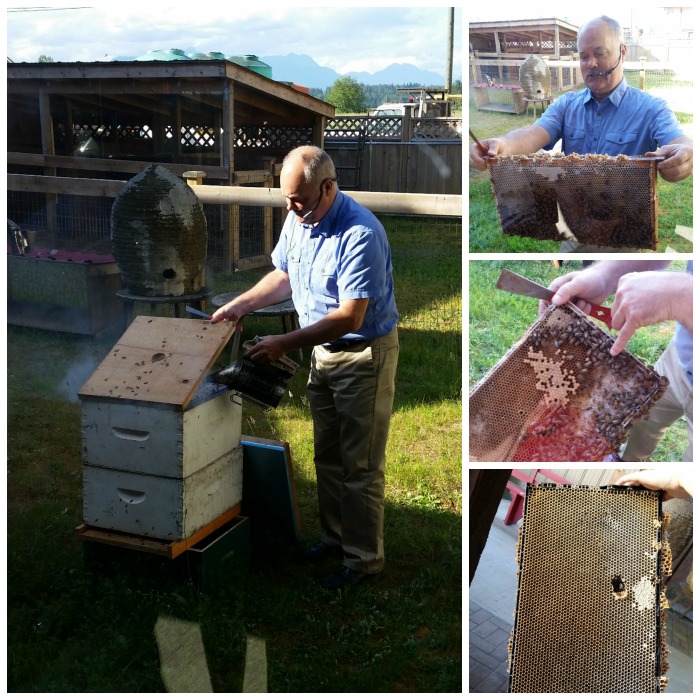 Beekeeping demo at the Honeybee Centre in Surrey, BC