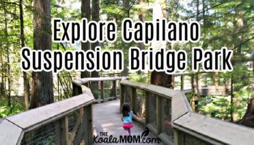 Explore Capilano Suspension Bridge Park
