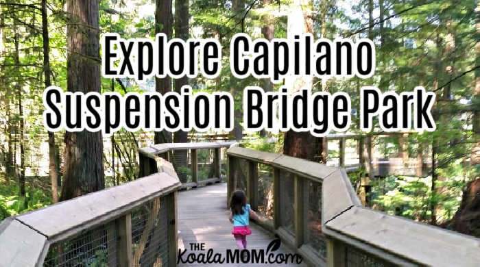 Explore Capilano Suspension Bridge Park • The Koala Mom