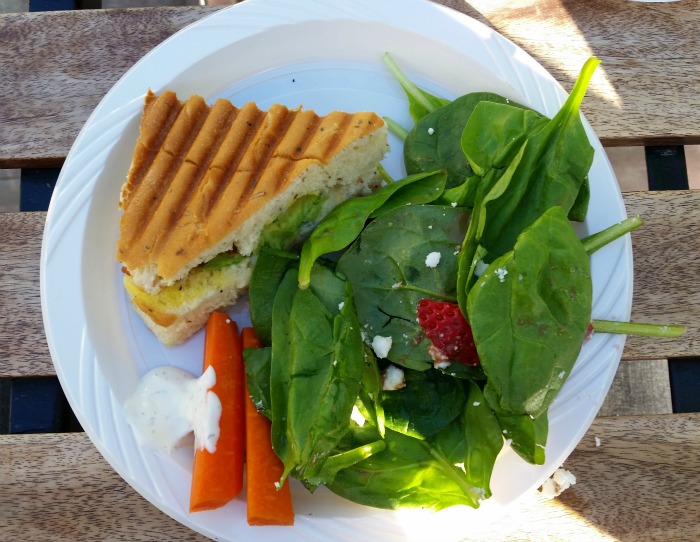 Paninis and salad at Fry's Corner Beestro in Surrey, BC