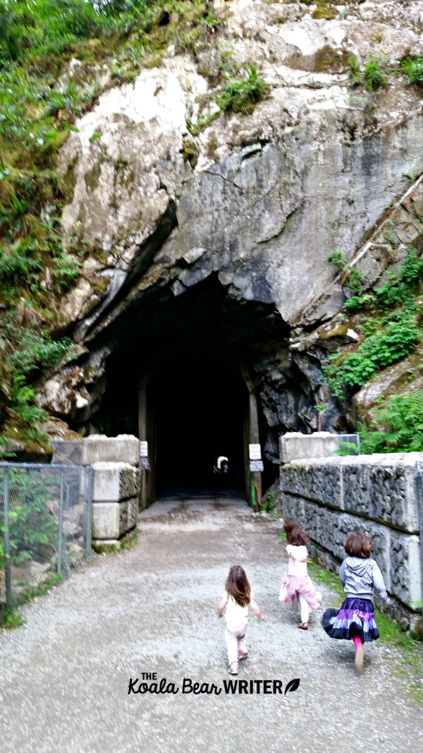 The first Othello Tunnel