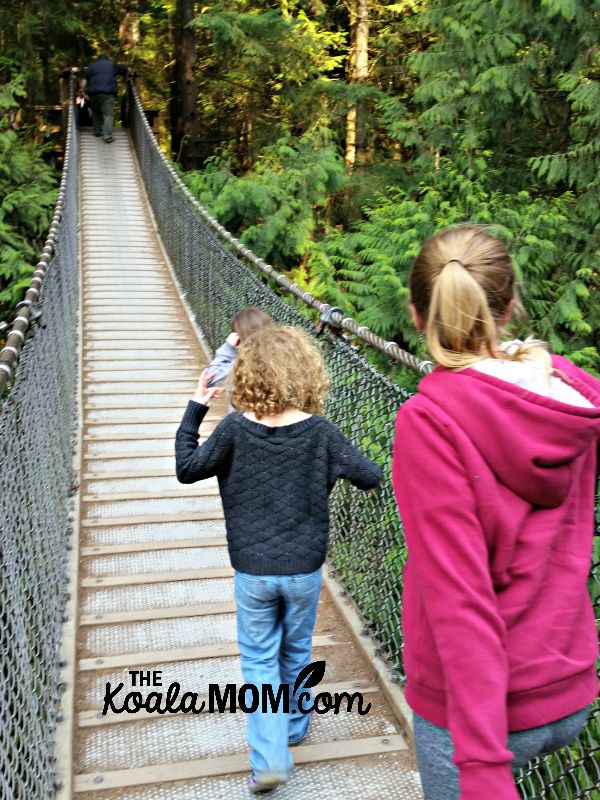 Lynn Canyon Suspension Bridge