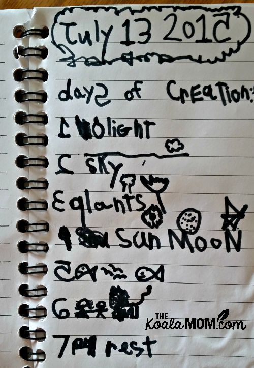 Sunshine-science-notebook