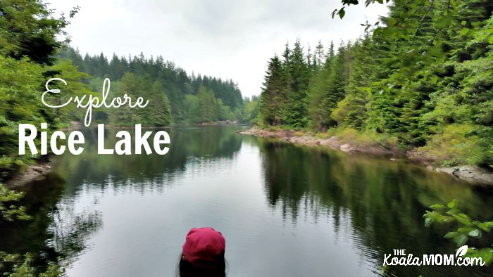 Explore Rice Lake in Vancouver, BC.