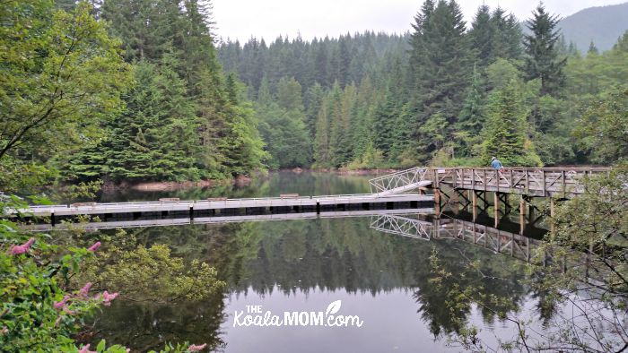 Bridge over Rice Lake, one of our favourite family-friend hikes around Greater Vancouver