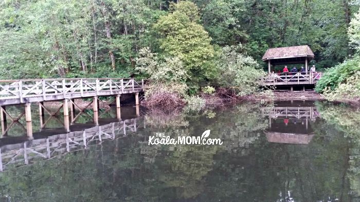 Picnic shelter at Rice Lake