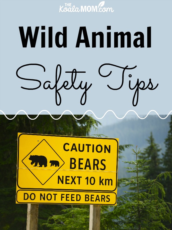 Wild Animal Safety Tips