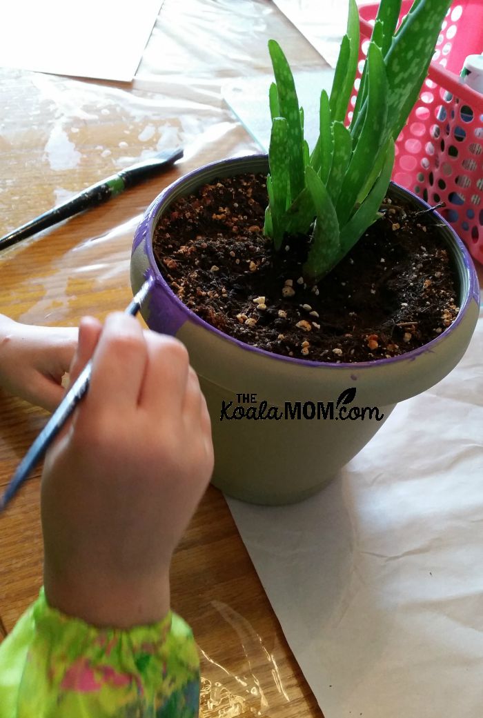 Sunshine painting her plastic plant pot (with an aloe plant)