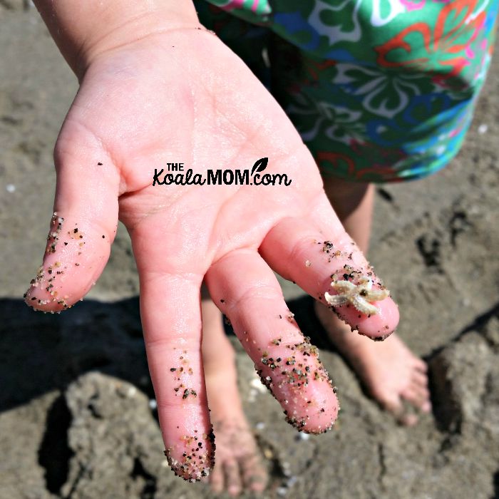 Tiny starfish on Lily's finger